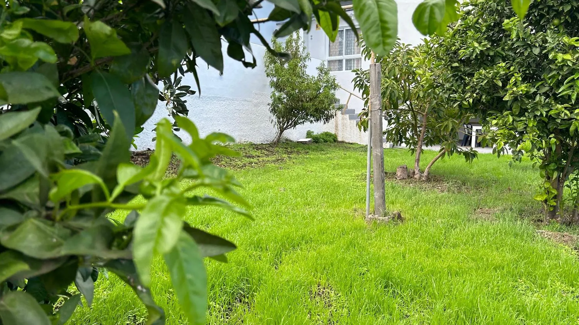 Casa La Oliva Apartman Garachico 0*,  Spanyolország