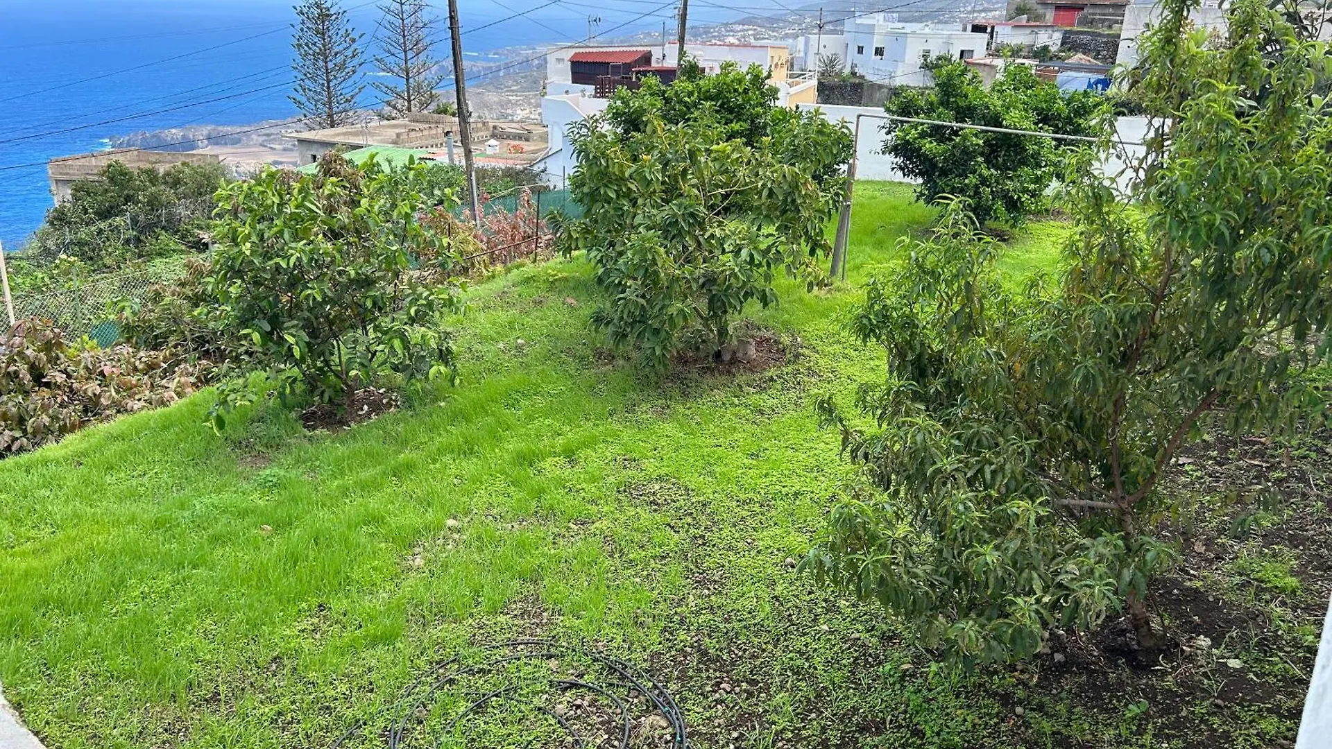 Casa La Oliva Apartman Garachico Spanyolország